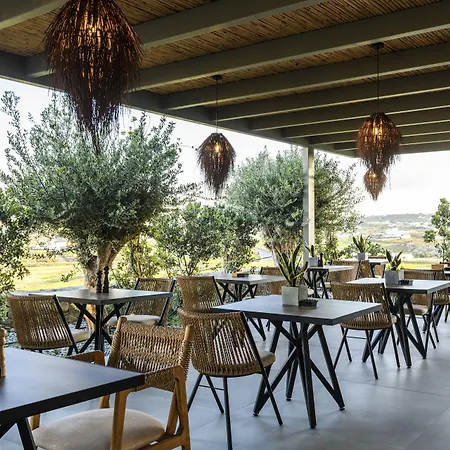 Nasta & Intentional Living Mykonos 帕诺尔莫斯米科诺斯