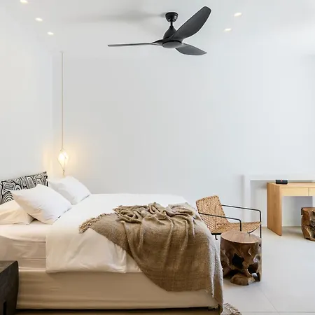 Nasta & Intentional Living Mykonos فندق 5*